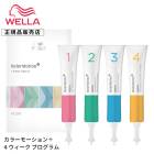 AҸˡۡ 4 WELLA ץեåʥ 顼⡼ 4ץ 20ml4 ᡼ 顼ץ顼⡼ץ饹   ӥ塼ƥإȥ꡼ȥȥ顼ȥ꡼ȥ