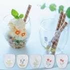 グラスS【 ブロッサム 】Blossom お花 花柄 花言葉 コップ 耐熱ガラス カモミール バターカップ ポピー パンジー チューリップ ギフト プレゼント 【B倉庫】|キッチン（調理器具・食器・お