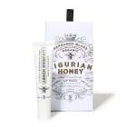 軻SALEڤ椦ѥå̵ۥåץС MAINE BEACH ۥޥӡ  ꥰꥢϥˡ LIGURIAN HONEY  Lip BalBҸˡ