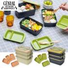 3ʡ ԥ˥åܥå Picnic Lunch Box Ȣ Ȣ Ȣ եߥ꡼ ܥå  4200ml Ȥ櫓ȥBҸˡ