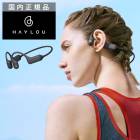 ߸˸¤SALE Ƴۥ PurFree BC01 HAYLOU 磻쥹 ʤİ ɤʤ ץ󥤥䡼 磻쥹ۥ BluBҸˡ