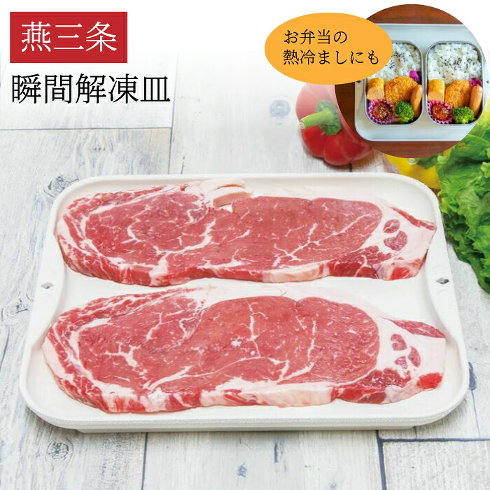 【解凍皿】燕三条製 瞬間解凍皿 Newクイッ君 | 凍皿 時短 日本製 アウトドア用品 キャンプ バーベキュー 大サイズ 解凍プレート 瞬間解凍 瞬間冷凍 家事負担軽減 ドリップ 自然解凍 粗熱取り 早い 肉 刺身 杉山金属 国産 日本製 タマハシ SD WBH