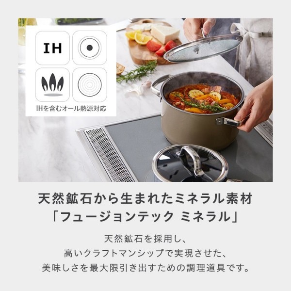 レビューで特典】両手鍋 20cm 【 ヴェーエムエフ 】WMF フュージョン