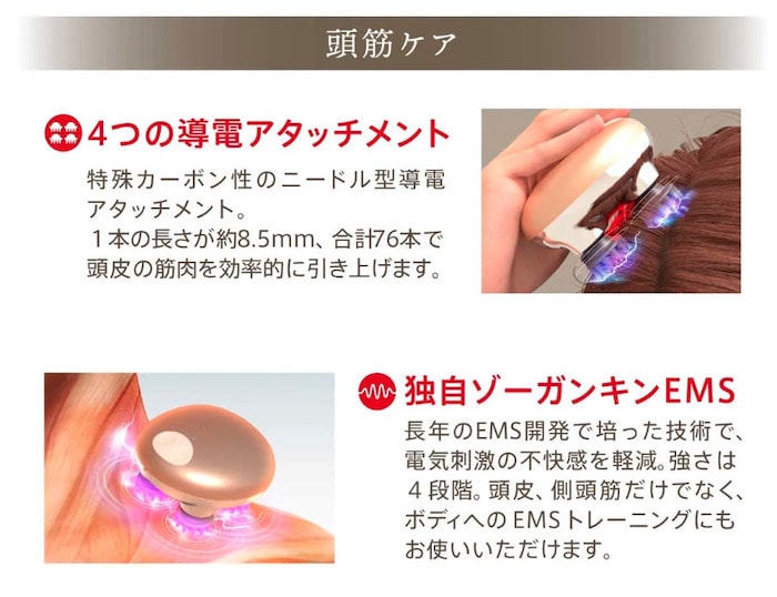 A倉庫】正規品/日本製【 1年保証 】ZOGANKIN SCALP（ ゾーガンキン