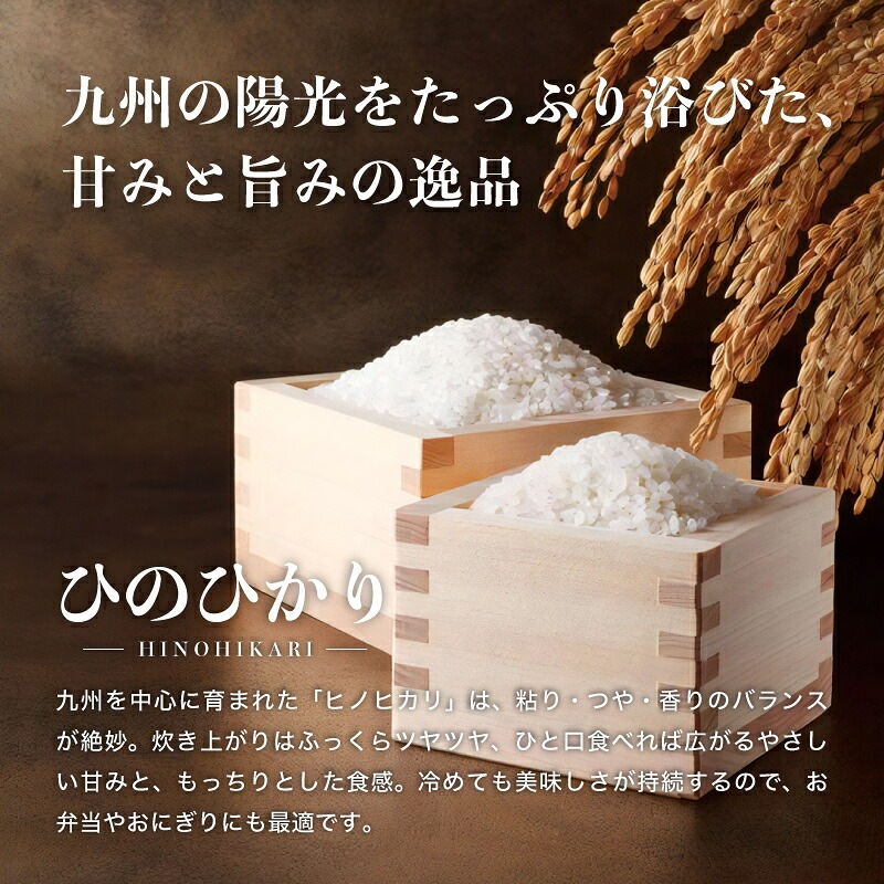 A倉庫】【精米10kg】国内産100％ 九州産 ひのひかり ブレンド米 10kg