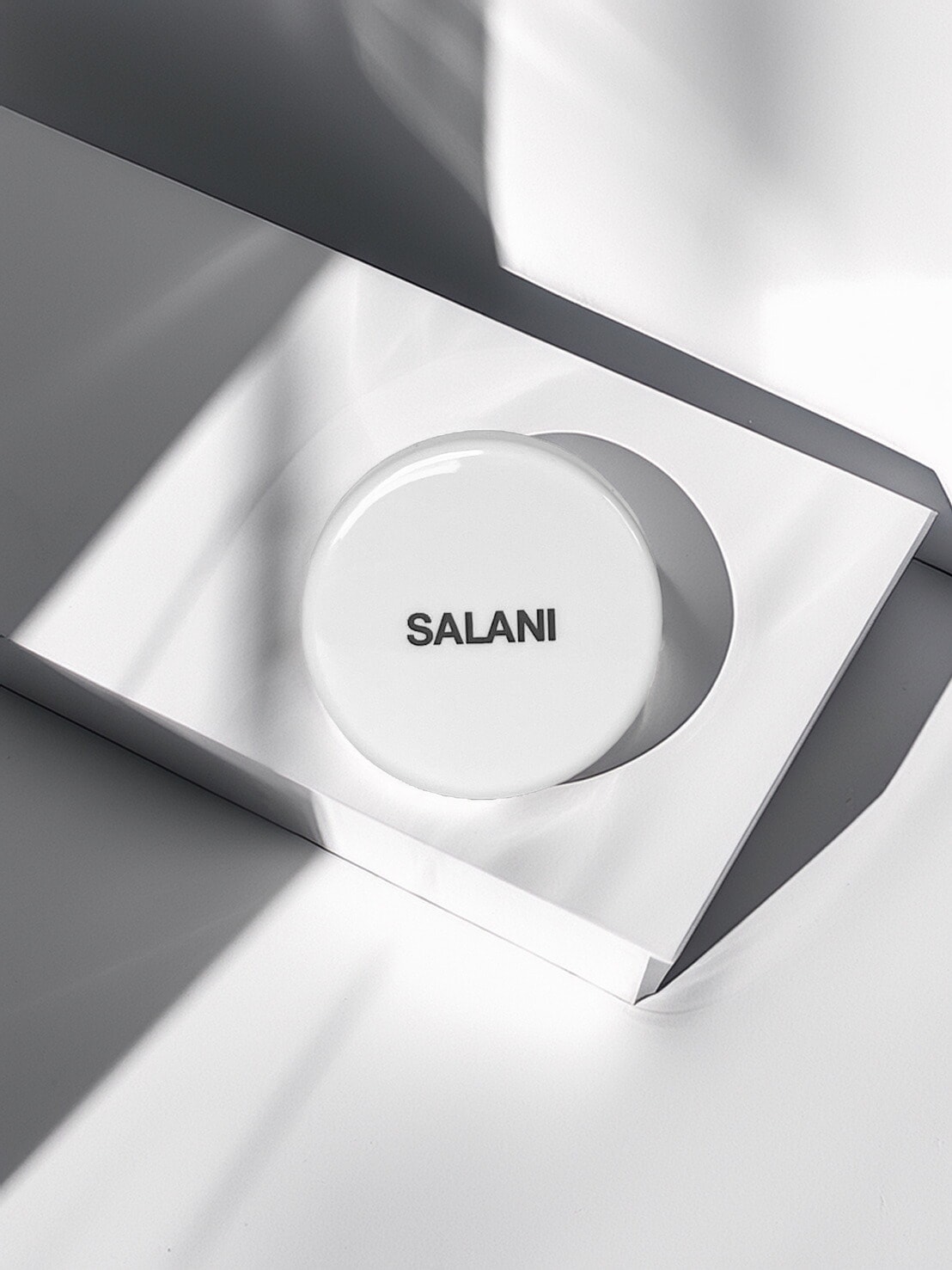 【A倉庫】SALANI　オイルバーム（日本製）サラニー オイルバーム 25g　アウトバストリートメント 洗い流さないトリートメント スタイリング バーム まとめ髪 天然由来 OIL BALM 自然 ナチュラル ツヤ つや感 つや出し 濡れ髪