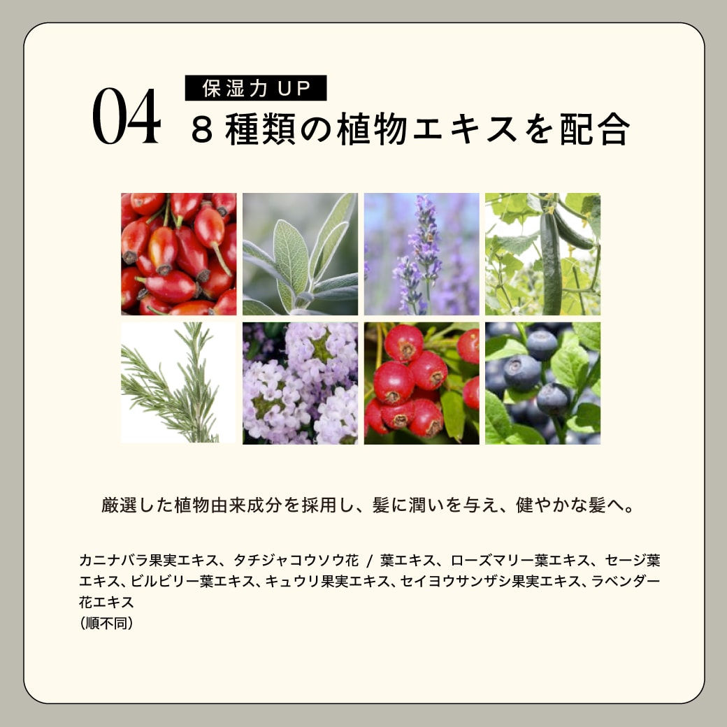 AҸˡۡڥĤ / ȱ / ȥץ륱SALANI ⥢  200mlmore change  ˡ ⥢󥸡ȥץ륱  ӥ塼ƥإȥ꡼ȥήʤȥ꡼ȥ