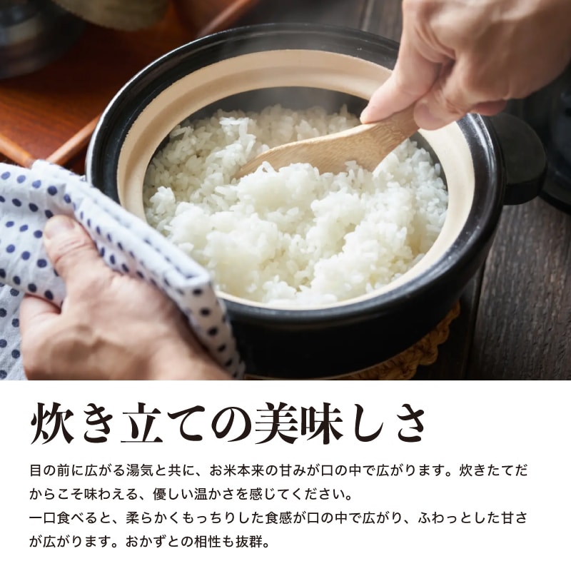 A倉庫】【精米10kg】国内産100％ 九州産 ひのひかり ブレンド米 10kg