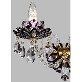 �֥饱�å� �����ǥꥢ �סݣ����ݥ����������Х�����å�