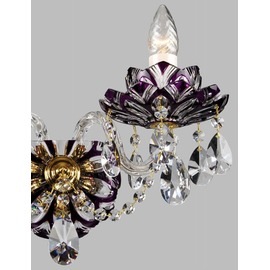 �֥饱�å� �����ǥꥢ �סݣ����ݥ����������Х�����å�