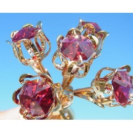 �� ��ʪ 1 ������ �ץ쥼��� ���ե� ���쥬��� £��ʪ ���� �� ͧã �ե� ��« ��� ������ե����� ���ꥹ����