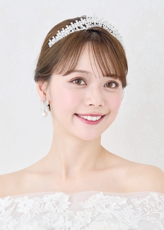 ���륳�˥�  �ƥ����� DH106