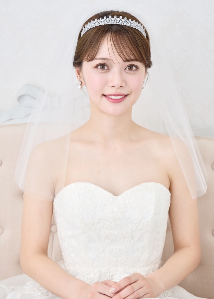 ���륳�˥�  �ƥ����� DH113