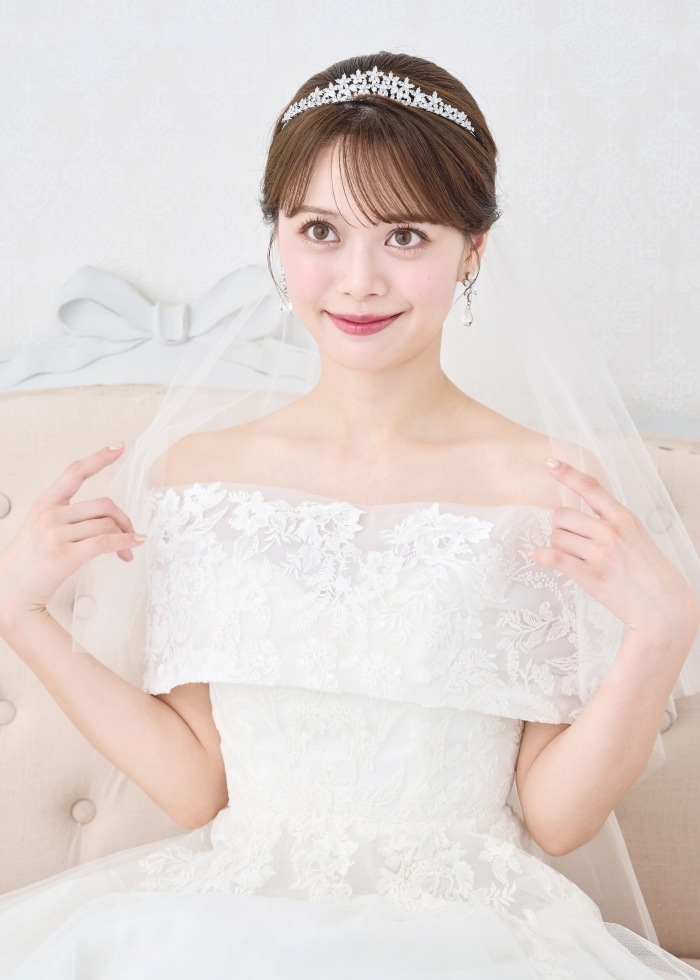 ���륳�˥�  �ƥ����� DH108