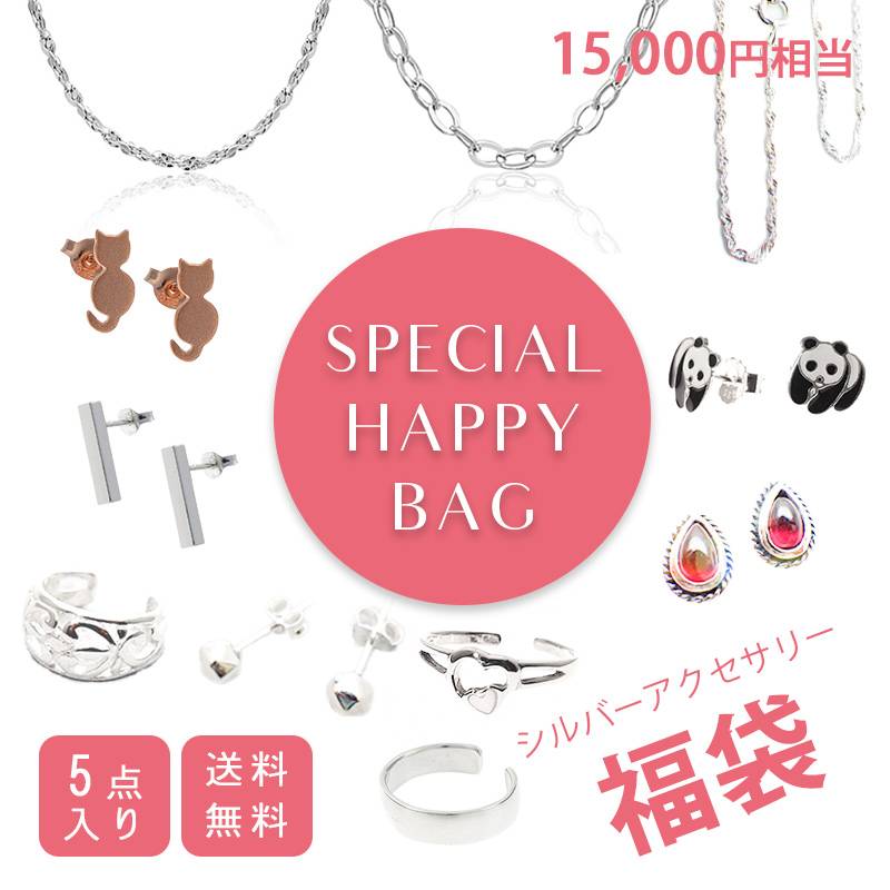 福袋 2026 レディース アクセサリー シルバー925 ピアス ネックレ