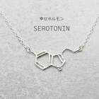 �ͥå��쥹 ���ؼ� �����ȥ˥� ��ǥ����� ���������꡼ ����С�925 ����륮���б� �������� ���奨�꡼ �ץ쥼��� ���ե� 30�� 40�� 50��