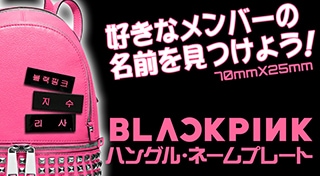 送料無料・速達・代引不可】 BLACKPINK (ブラックピンク) グッズ
