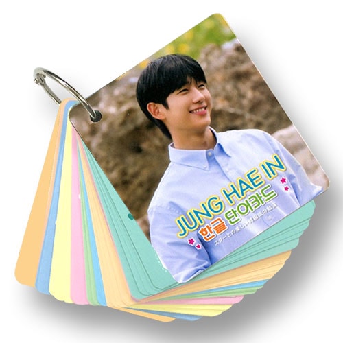 送料無料・速達】チョンヘイン (チョン・ヘイン) グッズ - 韓国語 単語