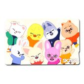 ̵®ã SKZOO  Stray Kids ȥ쥤å  å IC ƥå 