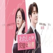 ��δ�������� �ڹ�ɥ�� DVD ���ܸ���� [�¹�͢����]