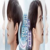 ��˾���� �ڹ�ɥ�� DVD ���ܸ���� [�¹�͢����]