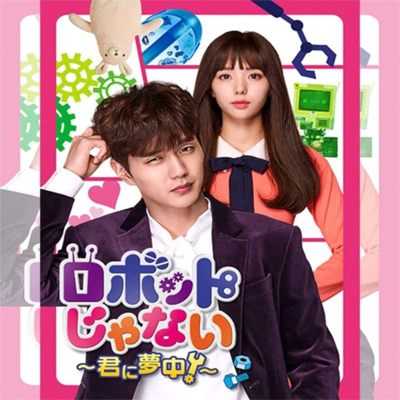 ���ܥåȤ���ʤ�������̴�桪�� �ڹ�ɥ�� DVD ���ܸ���� �Ρ����å� ��32�ü�Ͽ [�¹�͢����]