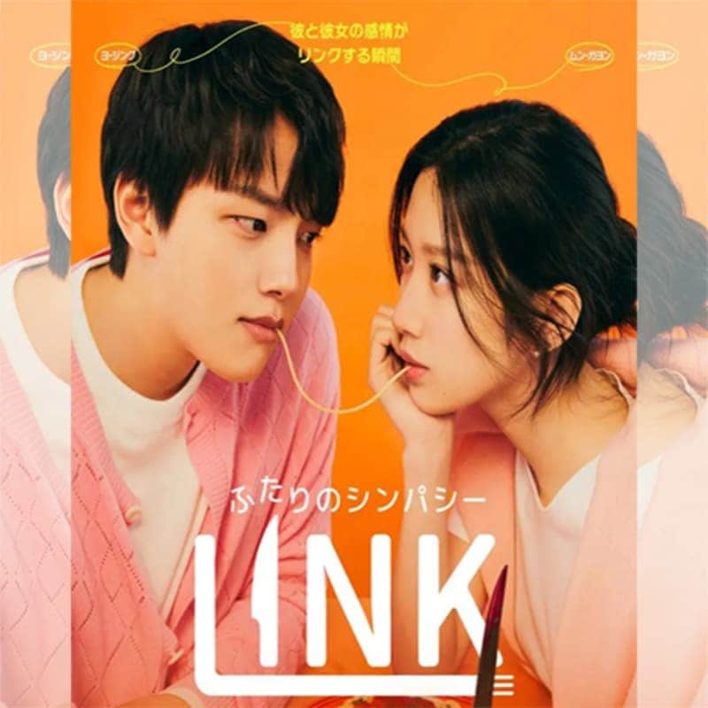 LINK���դ���Υ���ѥ��� �ڹ�ɥ�� DVD ���ܸ���� �Ρ����å� ��16�ü�Ͽ [�¹�͢����]