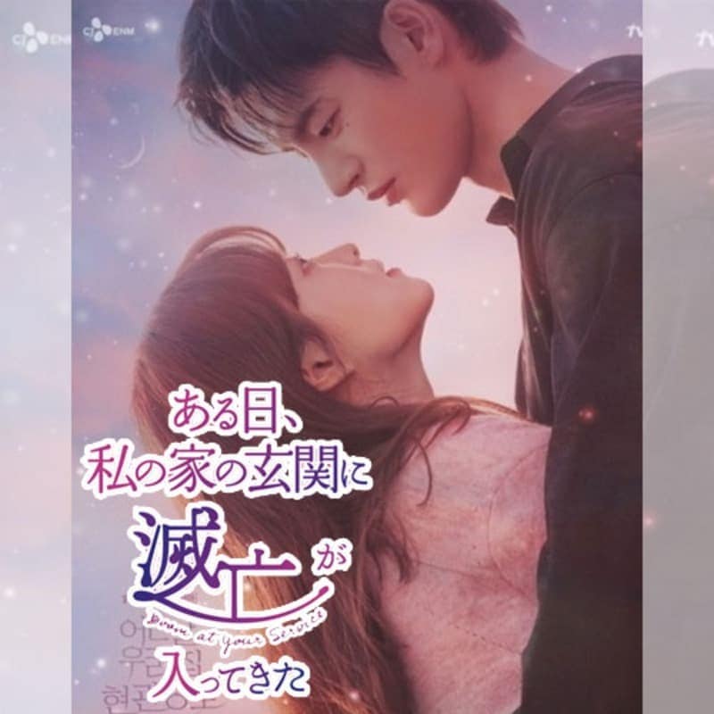 ����������βȤθ��ؤ���˴�����äƤ��� �ڹ�ɥ�� DVD ���ܸ���� [�¹�͢����]