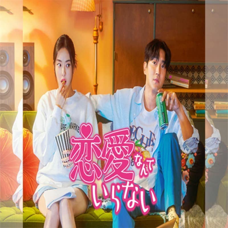 �����ʤ�Ƥ���ʤ� �ڹ�ɥ�� DVD ���ܸ���� �Ρ����å� ��16�ü�Ͽ [�¹�͢����]