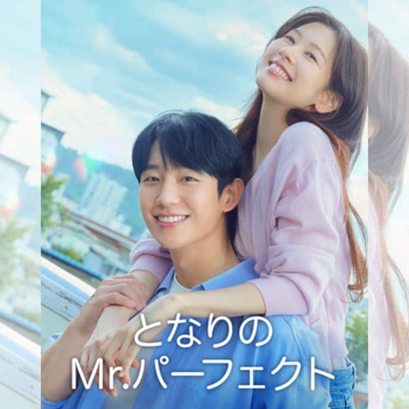 �Ȥʤ��Mr.�ѡ��ե����� �ڹ�ɥ�� DVD ���ܸ���� �Ρ����å� ��16�ü�Ͽ [�¹�͢����]