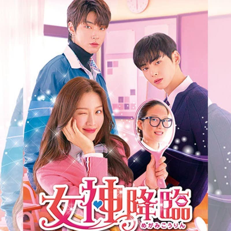 �������� �ڹ�ɥ�� DVD ���ܸ���� �Ρ����å� ���ü�Ͽ [�¹�͢����]