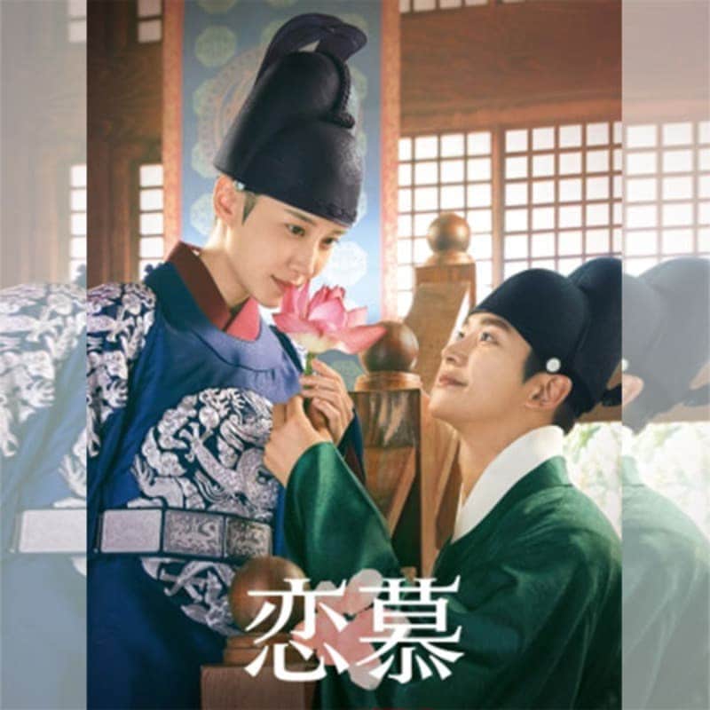 ���� �ڹ�ɥ�� DVD ���ܸ���� �Ρ����å� ��20�ü�Ͽ [�¹�͢����]