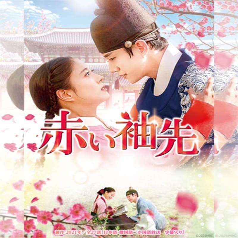 �֤�µ�� �ڹ�ɥ�� DVD ���ܸ���� �Ρ����å� ��17�ü�Ͽ [�¹�͢����]