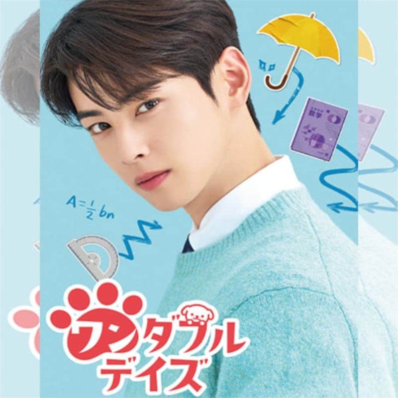 �����ե�ǥ��� �ڹ�ɥ�� DVD ���ܸ���� �Ρ����å� ���ü�Ͽ [�¹�͢����]