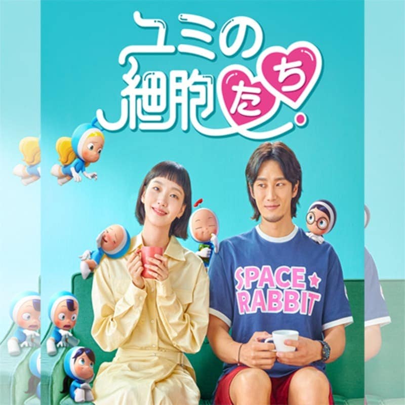 ��ߤκ�˦���� 1 �ڹ�ɥ�� DVD ���ܸ���� �Ρ����å� ���ü�Ͽ [�¹�͢����]