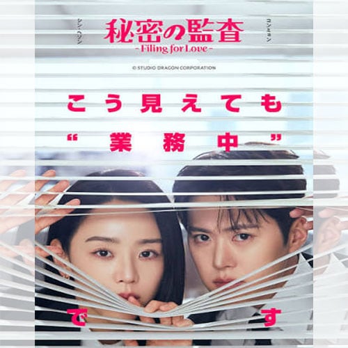 秘密の監査 -Filing for Love- 韓国ドラマ DVD 日本語字幕 ノーカット