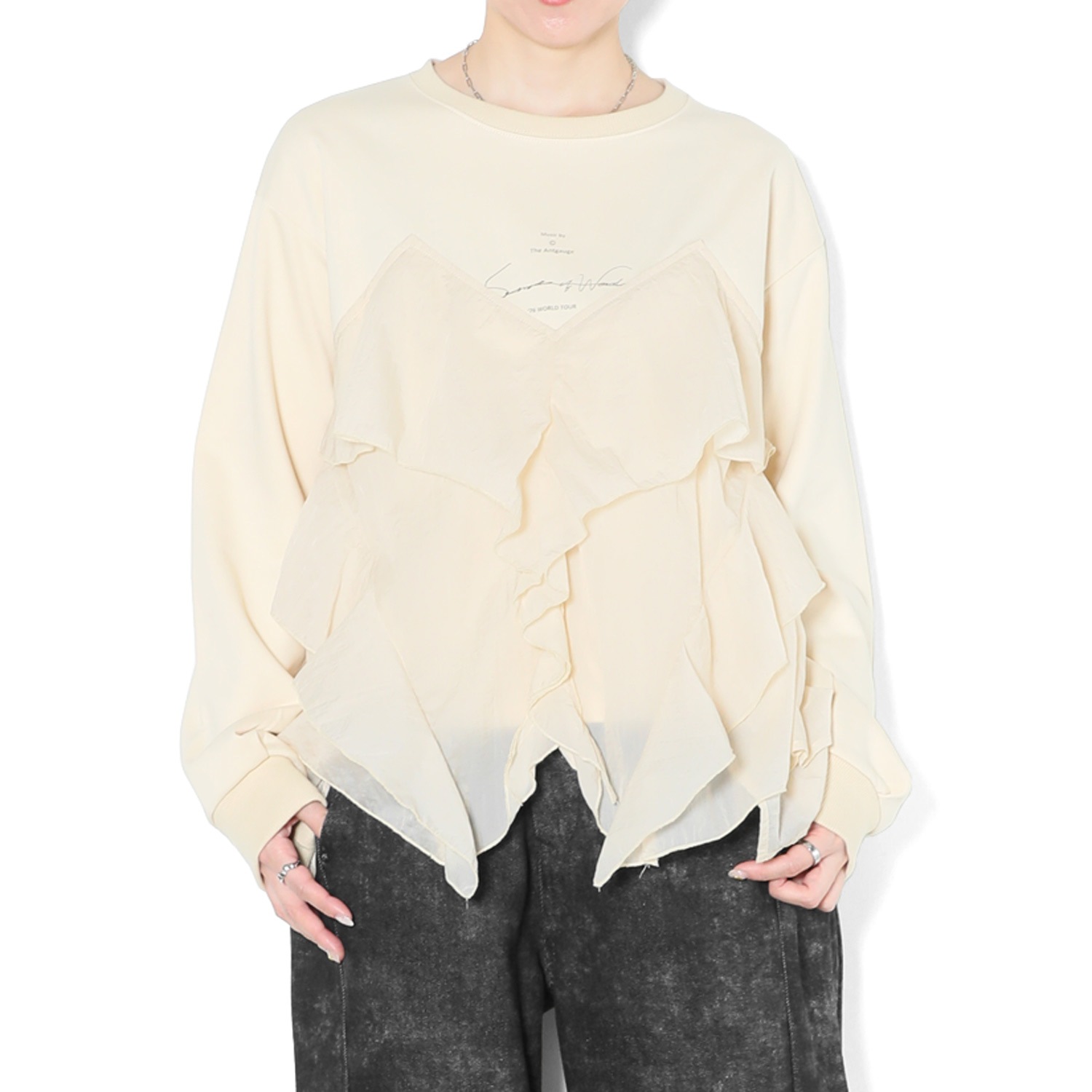 �ӥ������ץ륪���С�