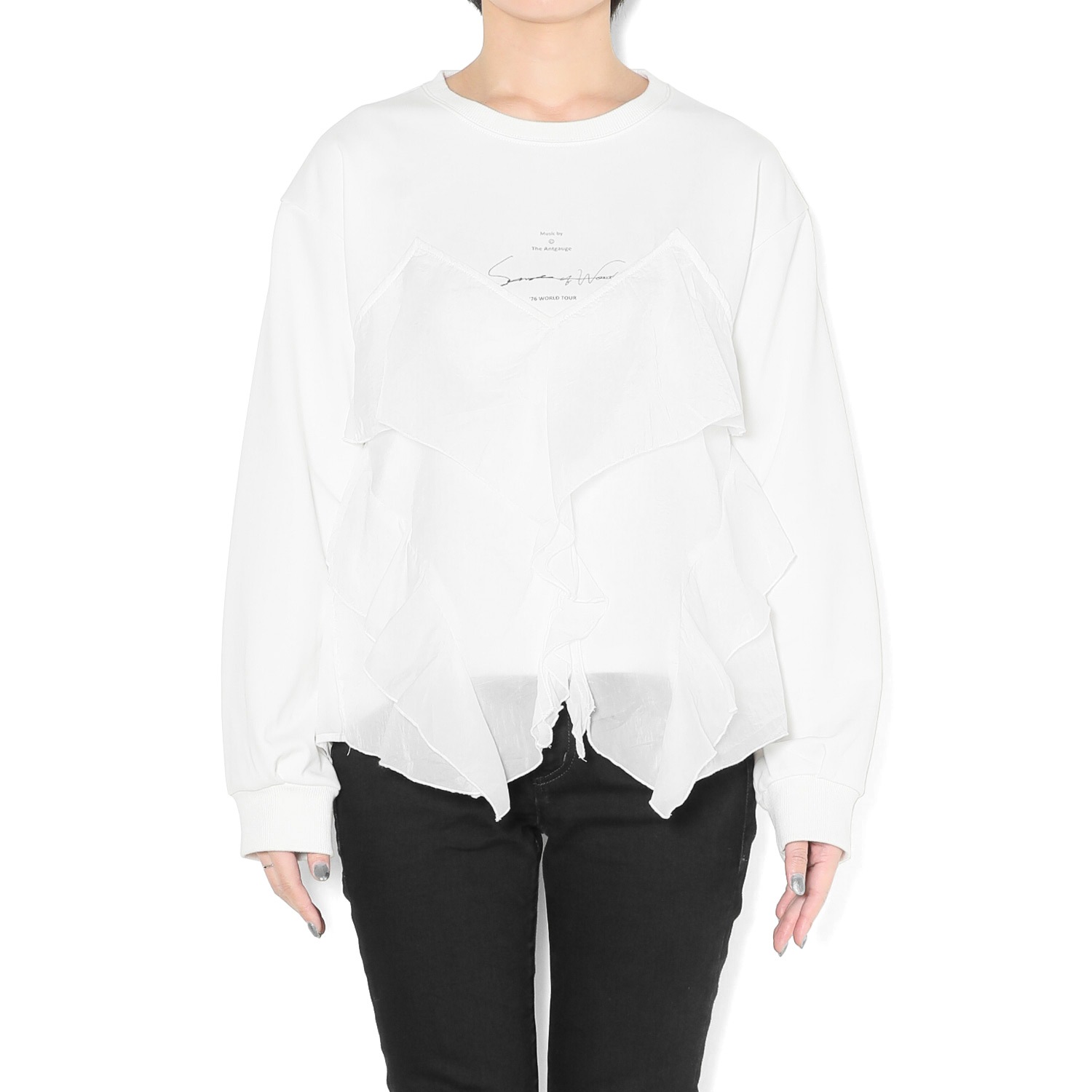 �ӥ������ץ륪���С�