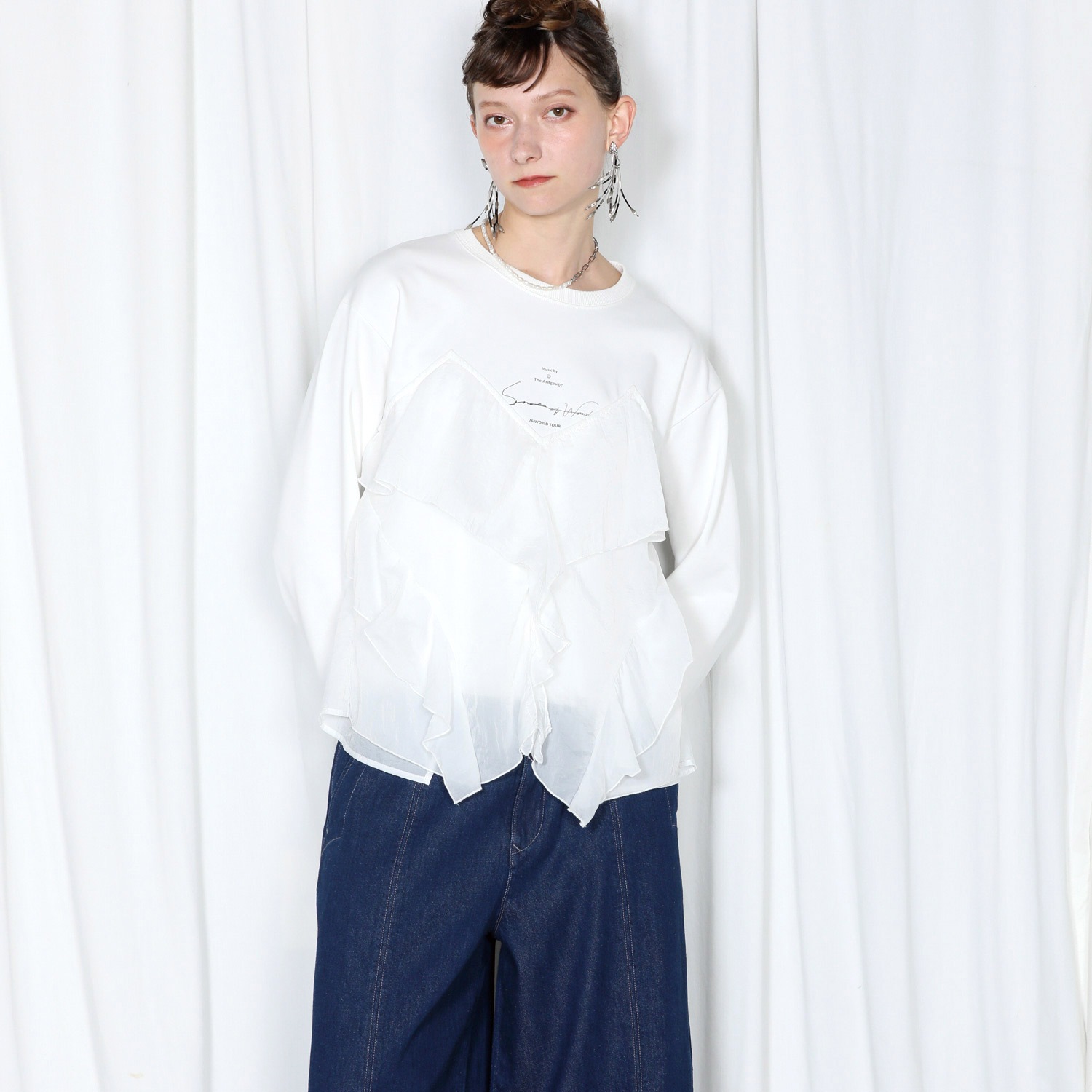 �ӥ������ץ륪���С�