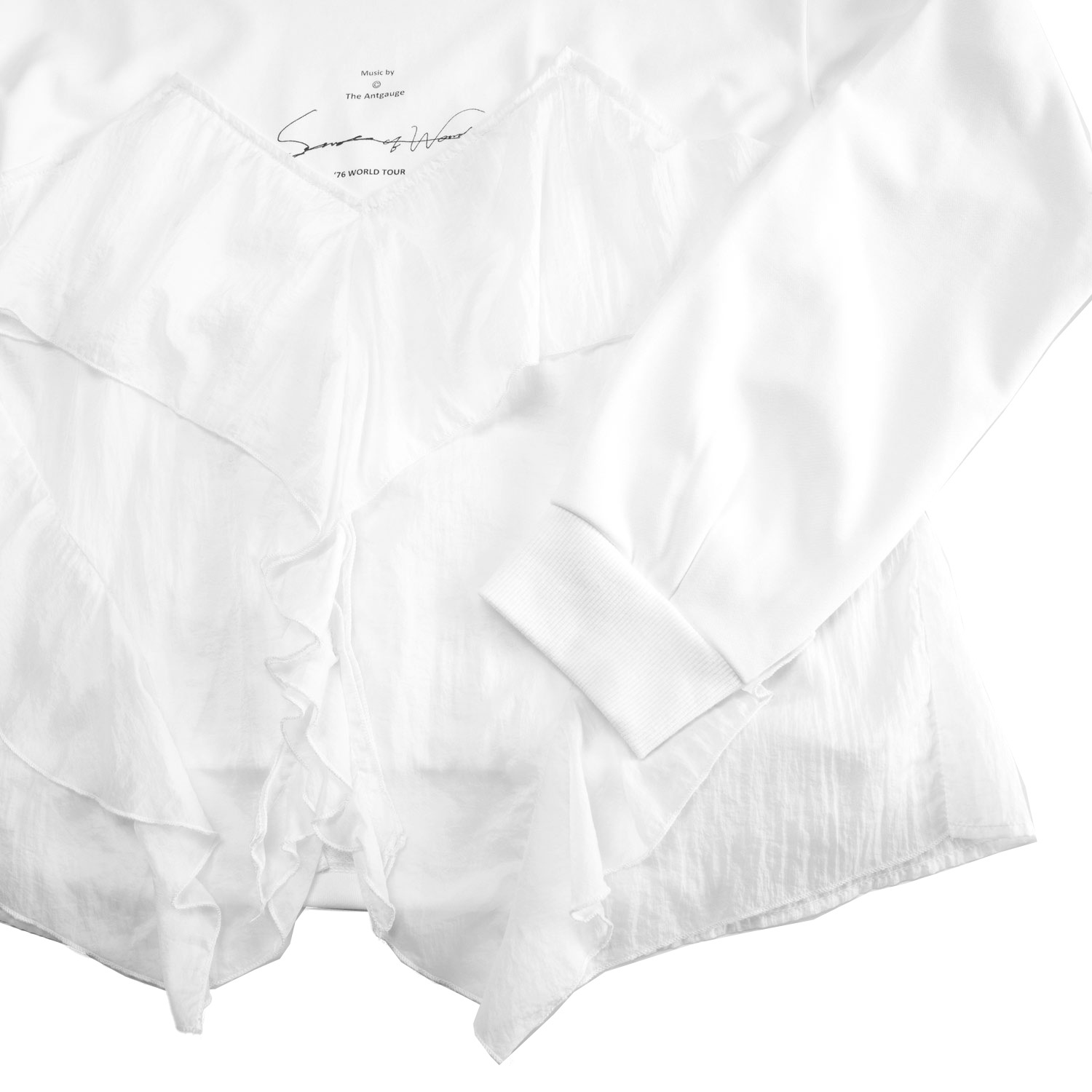 �ӥ������ץ륪���С�