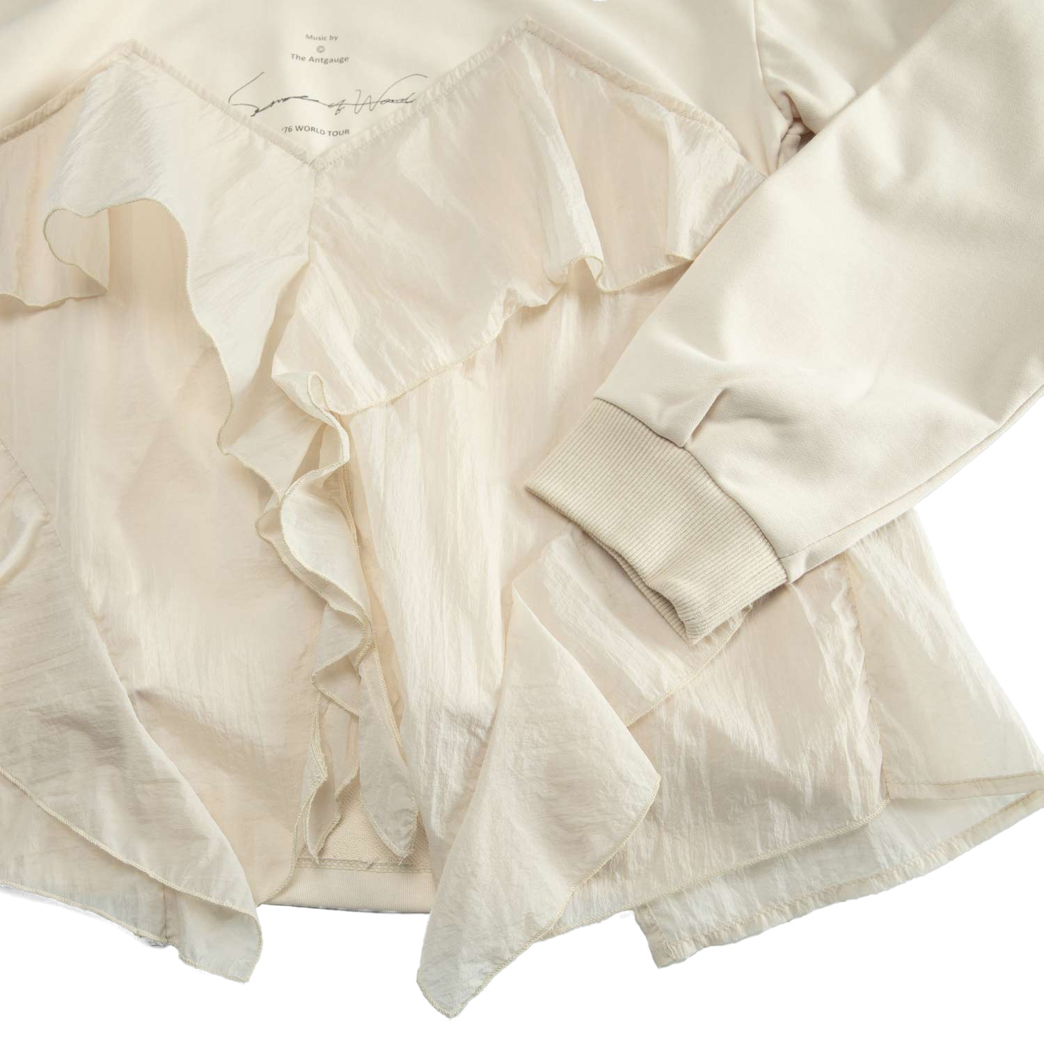 �ӥ������ץ륪���С�