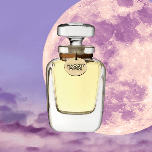 【完売】MACOTT 限定熟成香水 / パープルムーン'25 (パルファム)30mLフラコンボトル