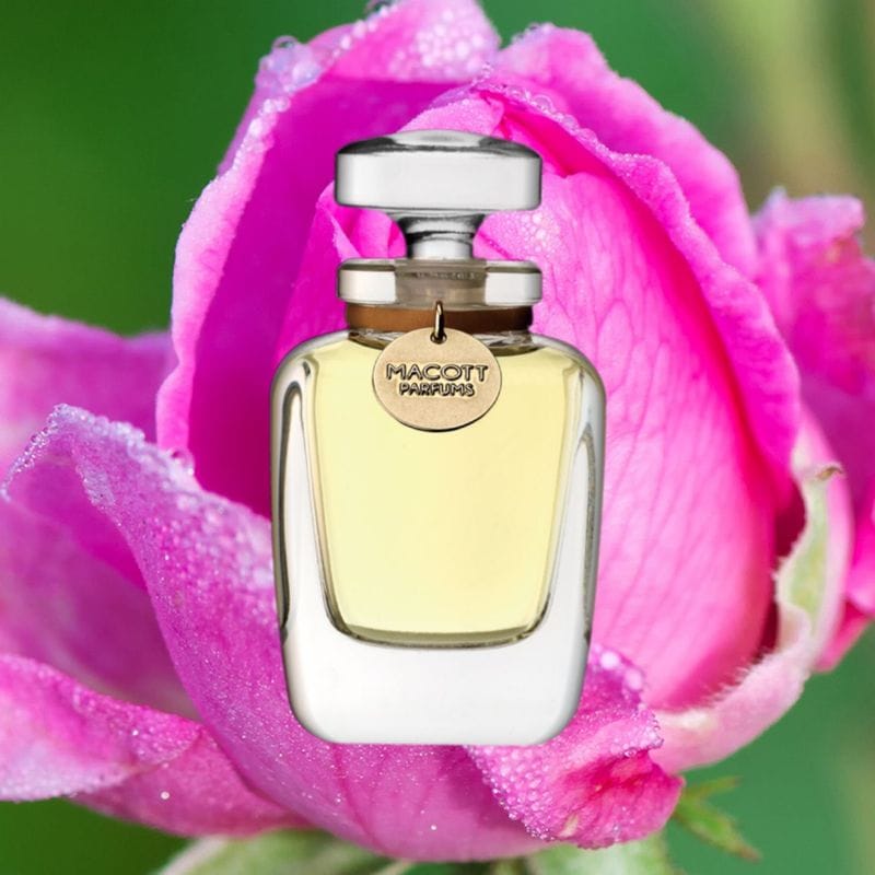 �ڴ����MACOTT ���������� /�����ե��ϥ���������åȡ�'25�ʥѥ�ե����30mL�ե饳��ܥȥ�