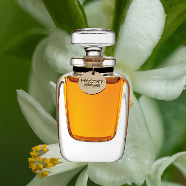 �ڴ����MACOTT ���������� / �ͥ���'25 �ʥѥ�ե����30mL�ե饳��ܥȥ�