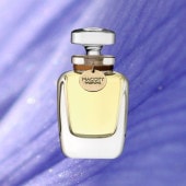 �ڴ����MACOTT ���������� / �֥롼�Х�����å�'25 �ʥѥ�ե����30mL�ե饳��ܥȥ�