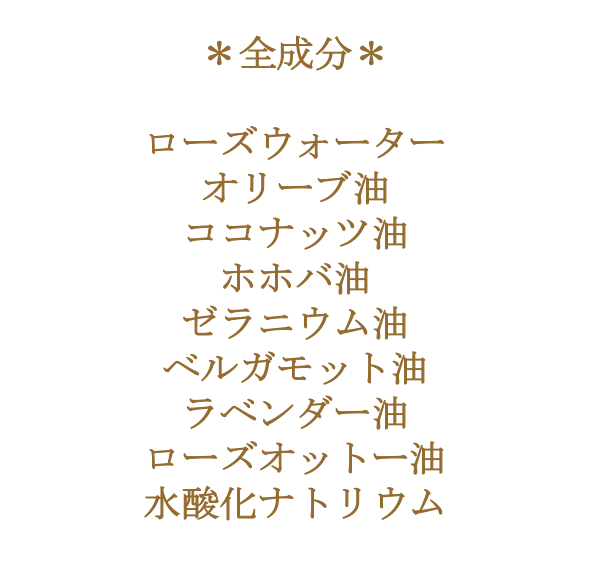 �������˥å����åȡ�������&���������������������� 100g