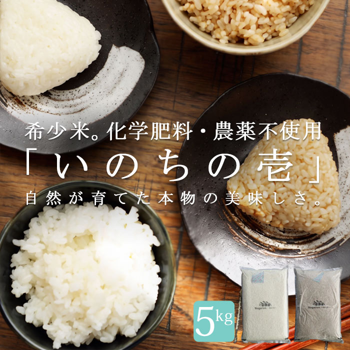 【自然栽培米今だけ特別価格1000円OFF】 メディアでも話題!!お問い合わせ殺到!?自然栽培農法で育てた安心安全なお米 真空パック いのちの壱 5kg 送料無料 ・再入荷 メール便不可