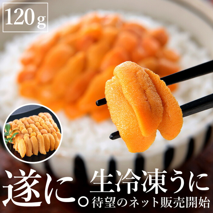 冷凍 生冷凍うに 120g 北海道産 生冷 冷凍食品 送料無料・メール便不可
