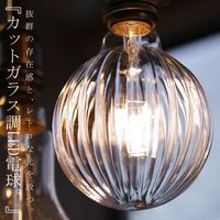照明 外径22インチ E26 インダストリアルランプ シェード ペンダント