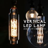 LED電球 E26 6W 650lm インテリア照明 LARGE LAMPS ボール型 装飾